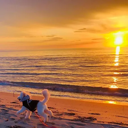 Apartman Valamar Sea View *