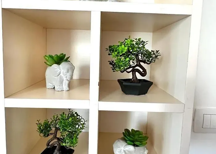 Appartement Valamar Sea View *