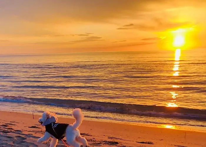 Appartement Valamar Sea View *